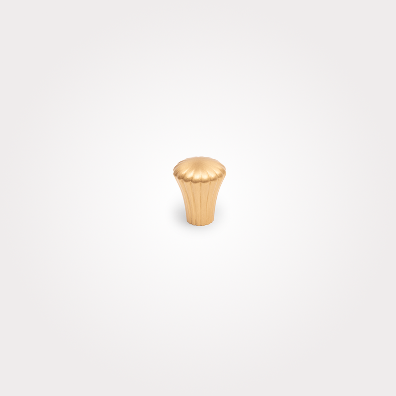 Ocean Knob