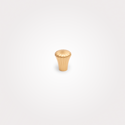 Ocean Knob