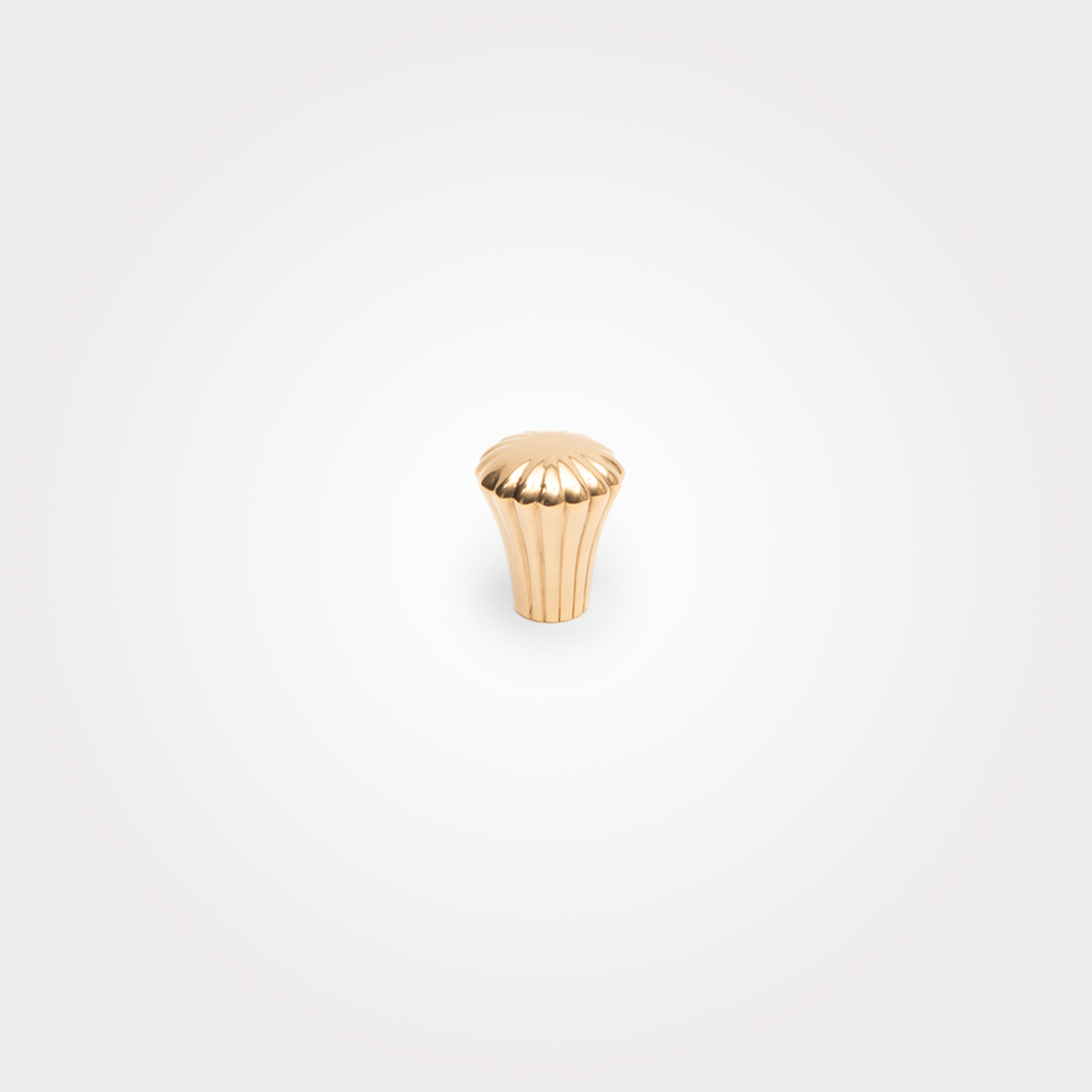 Ocean Knob