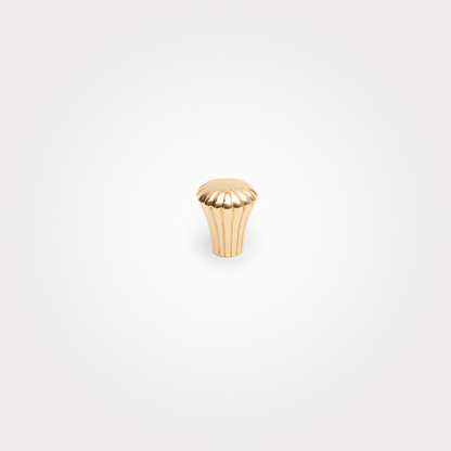 Ocean Knob